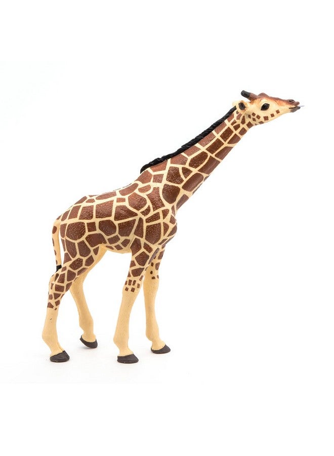 Papo بابو - تمثال مطلي يدويًا - مملكة الحيوانات البرية - زرافة برأس مرفوع - 50236 - قابلة للجمع - للأطفال - مناسبة للأولاد والبنات - من 3 سنوات فما فوق - Image 2