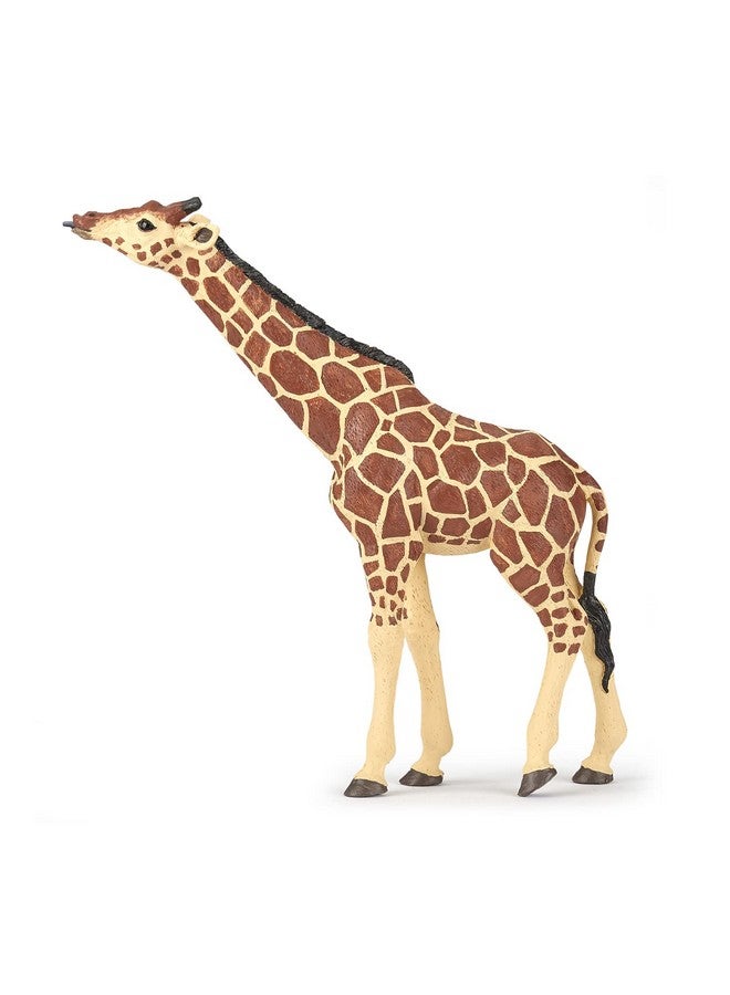 Papo بابو - تمثال مطلي يدويًا - مملكة الحيوانات البرية - زرافة برأس مرفوع - 50236 - قابلة للجمع - للأطفال - مناسبة للأولاد والبنات - من 3 سنوات فما فوق - Image 1