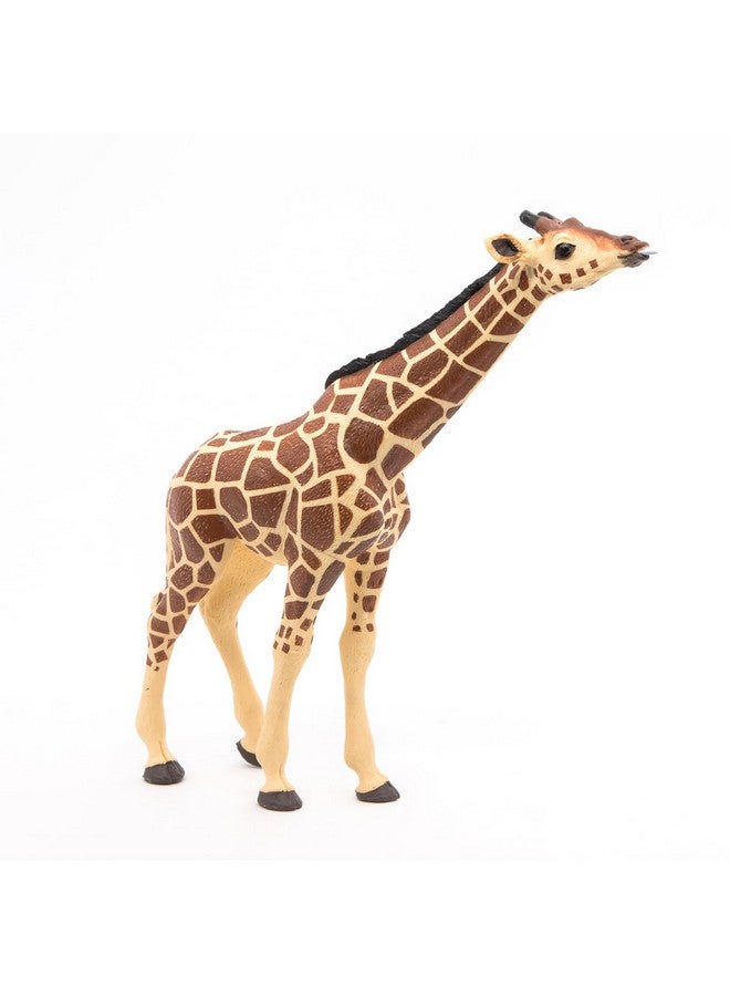 Papo بابو - تمثال مطلي يدويًا - مملكة الحيوانات البرية - زرافة برأس مرفوع - 50236 - قابلة للجمع - للأطفال - مناسبة للأولاد والبنات - من 3 سنوات فما فوق - Image 4