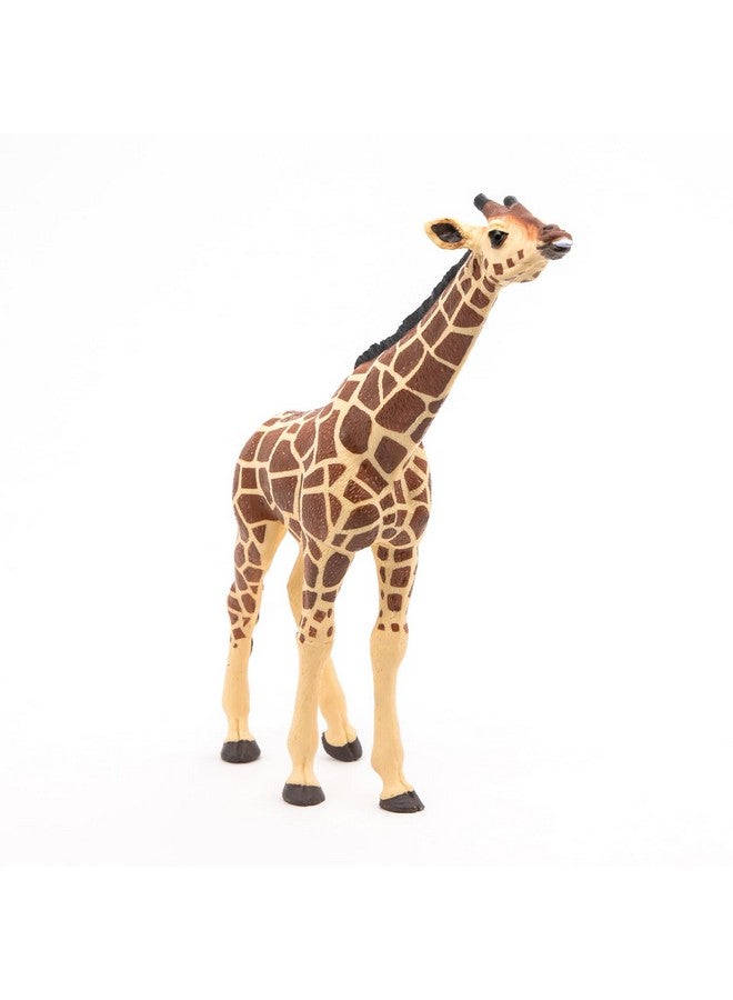 Papo بابو - تمثال مطلي يدويًا - مملكة الحيوانات البرية - زرافة برأس مرفوع - 50236 - قابلة للجمع - للأطفال - مناسبة للأولاد والبنات - من 3 سنوات فما فوق - Image 5