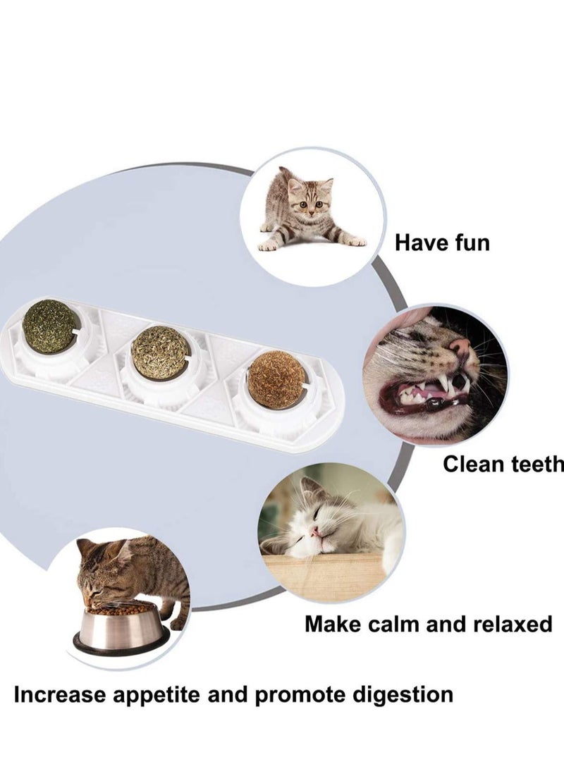 KASTWAVE Catnip Squash Ball Toy, 3 in 1 Rotatable Cat Snacks Edible Ball with Natural Healthy Catnip Silver Vine Cat Spit Hair Ball Chewing Clean Teeth Toys - Image 5