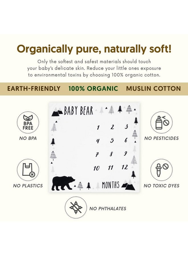 Pondering Pine Organic Baby Monthly Milestone Blanket Boy - Baby Bear Blanket Months with Frame and Newborn Announcement Disc - Baby Boy Age Blanket for 1-12 Month Milestones, 47”x47” - Image 3