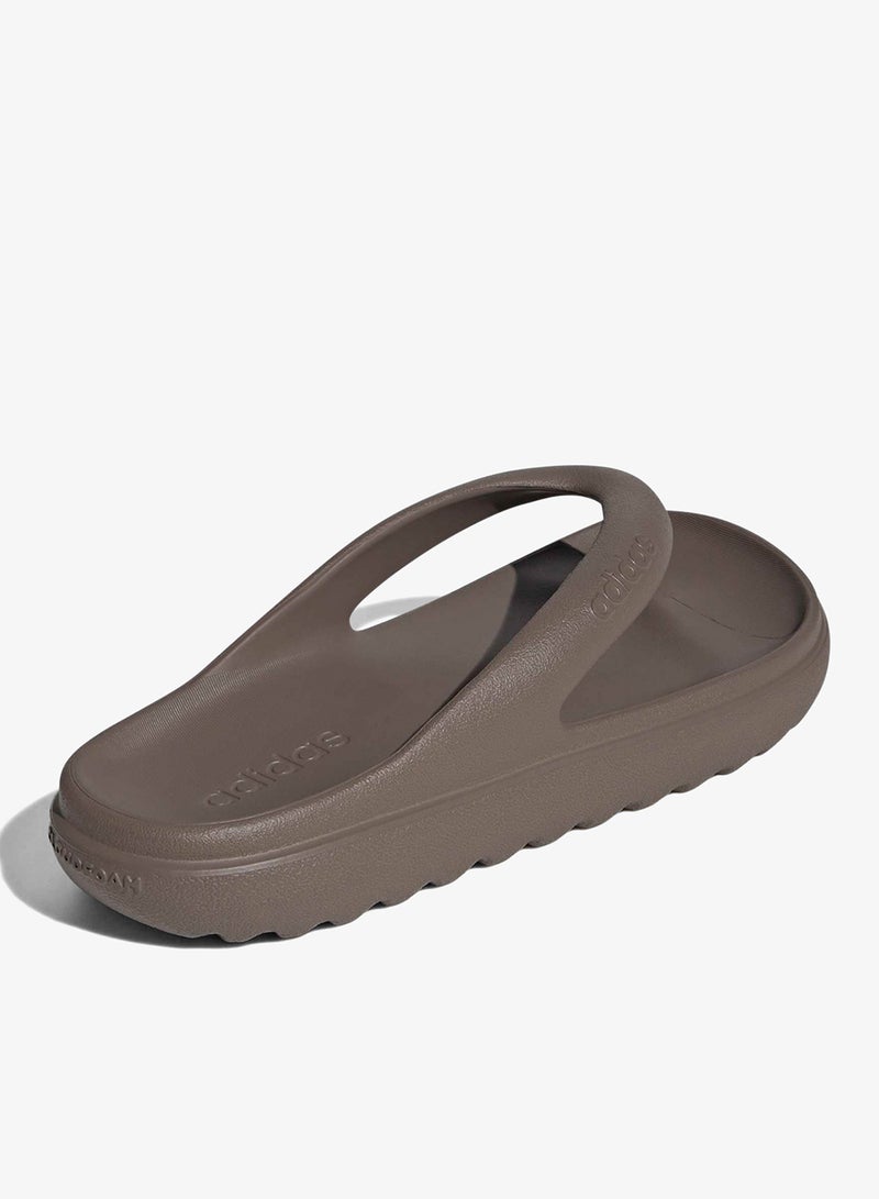 اديداس أدليت لوميا فليب - Image 4