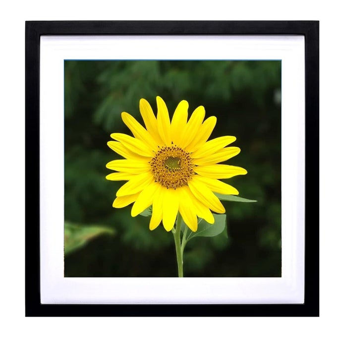 12x12 Diamond Painting Picture FramesDisplay Pictures 12x12 Inch 30x30cm With Mat or 14x14 Inch35x35cm Without Mat Picture Frames Diamond Painting Photo Frames Wood Black TK003