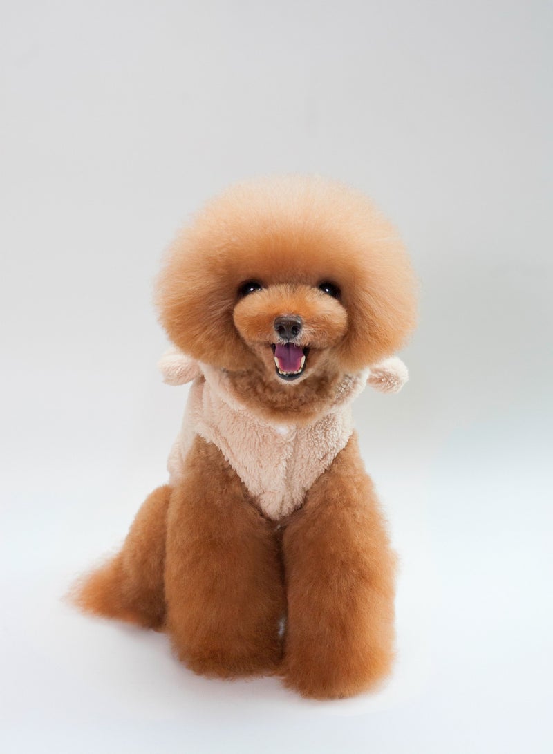 Loquat A pet dog wears a coat and a hat Beige  - Image 1