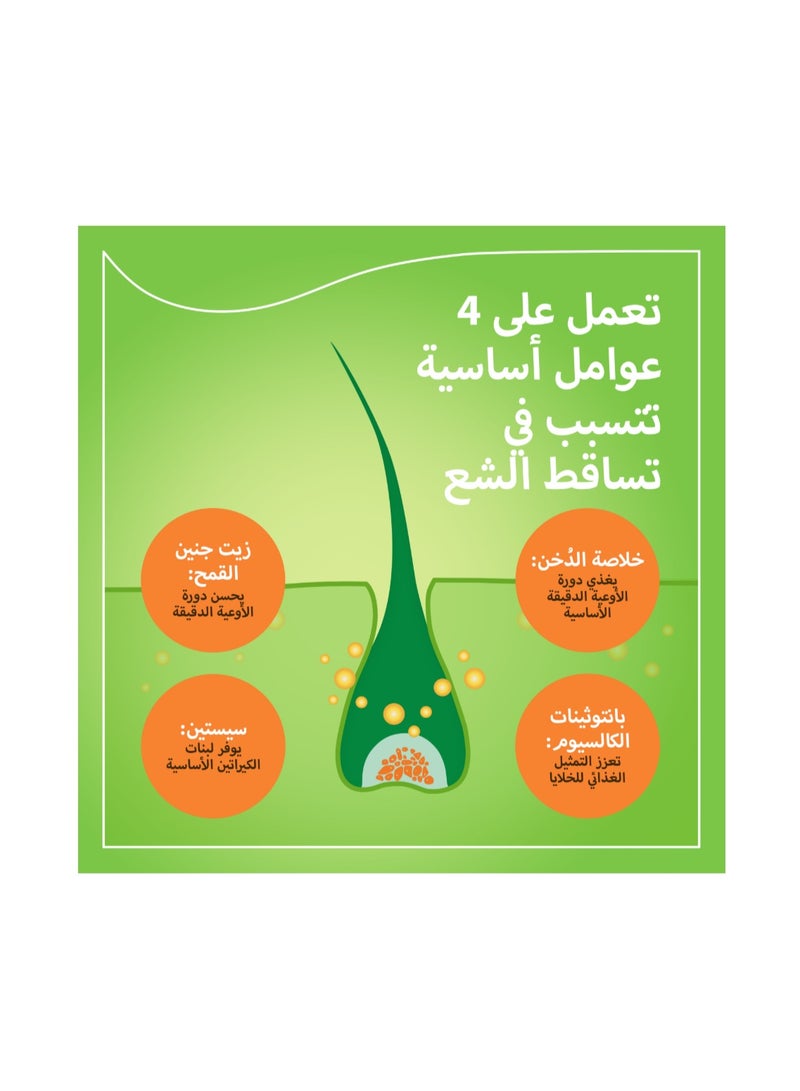 بريورين برايورين-ان لنمو الشعر 90 كبسولة - Image 5