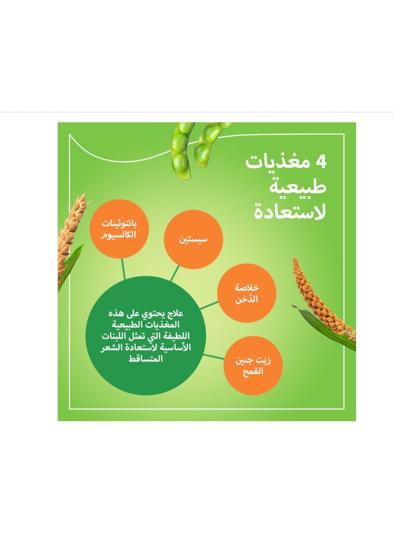 بريورين برايورين-ان لنمو الشعر 90 كبسولة - Image 4