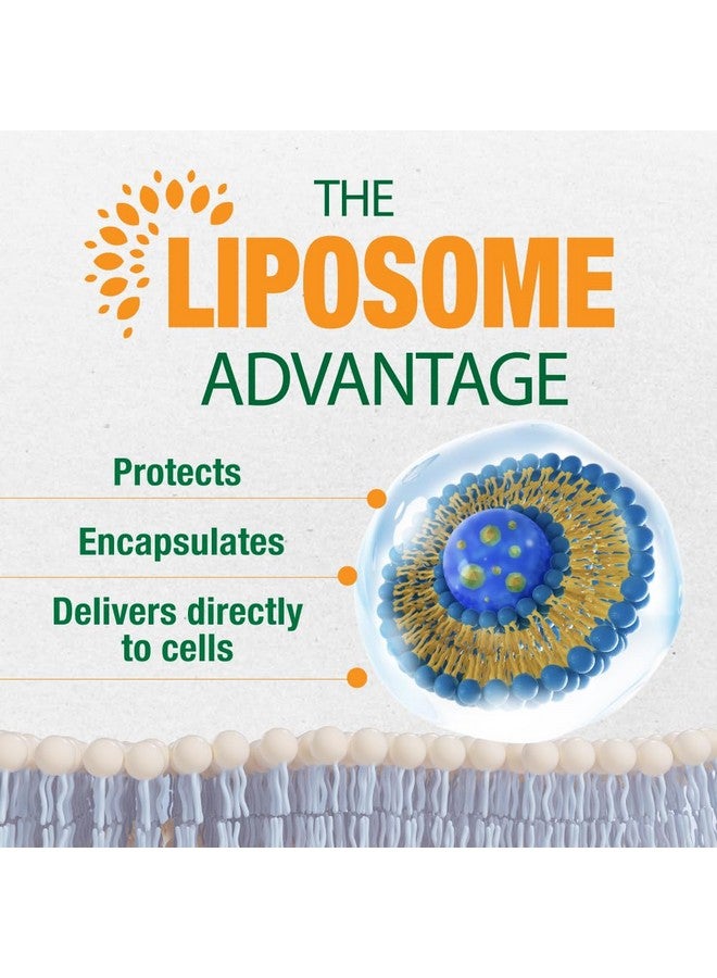 LABO Nutrition Liposomal Vitamin D3, High Potency Vegan-Sourced for Optimal Absorption, Sustained Release, 470% Bioavailable, Boost Immunity, Bone & Brain Health, 240 Days Supply, Non-GMO, Gluten Free - Image 5