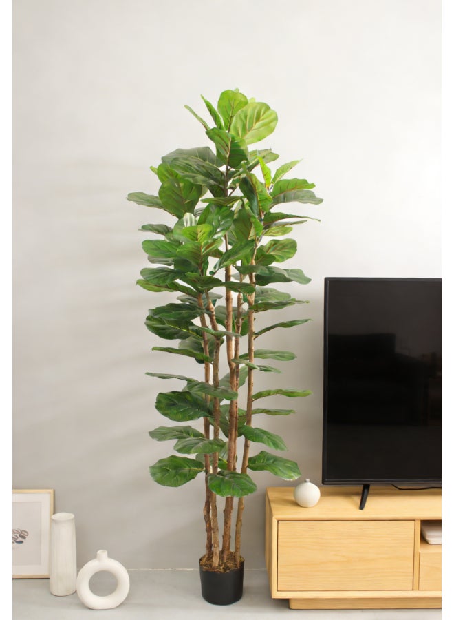 Noon East Fiddle Leaf Fig Tree 180cm (5.91ft) Tall Artificial Tree with Pot | Floor Plant with Lifelike Design & Texture - Green | Decorative Indoor Tree for Home, Living Room, Study & Office spaces - Image 3