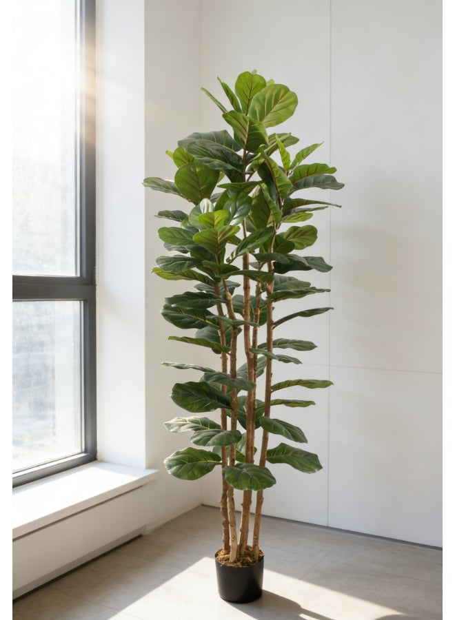 Noon East Fiddle Leaf Fig Tree 180cm (5.91ft) Tall Artificial Tree with Pot | Floor Plant with Lifelike Design & Texture - Green | Decorative Indoor Tree for Home, Living Room, Study & Office spaces - Image 1