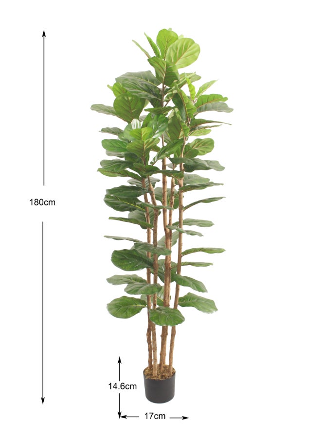 Noon East Fiddle Leaf Fig Tree 180cm (5.91ft) Tall Artificial Tree with Pot | Floor Plant with Lifelike Design & Texture - Green | Decorative Indoor Tree for Home, Living Room, Study & Office spaces - Image 4