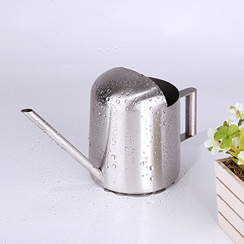 YISSSN Mini Watering Can, 10oz/300ml Stainless Steel Long Spout Small Watering Can for Indoor Plants Succulents, Herbs (Silver) - Image 4