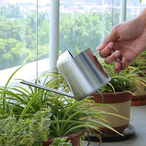 YISSSN Mini Watering Can, 10oz/300ml Stainless Steel Long Spout Small Watering Can for Indoor Plants Succulents, Herbs (Silver) - Image 2