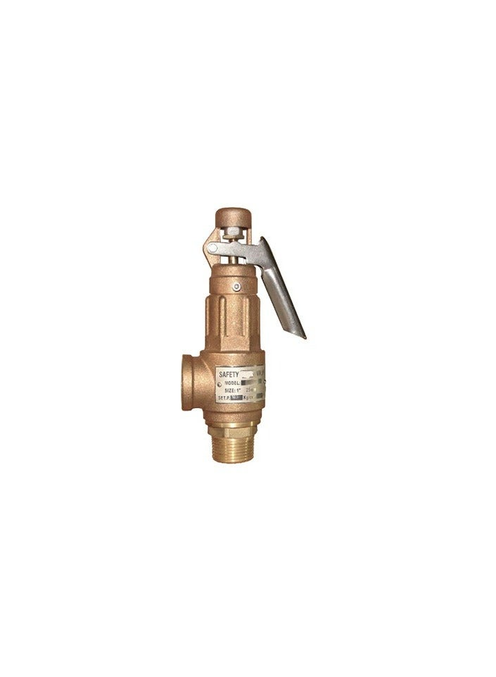 Bronze Safety Valve With Lever 10 Bar (1-1/4") 
