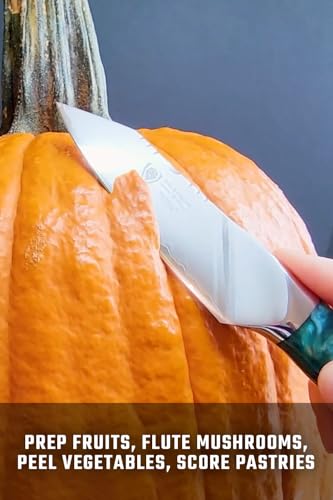 Dalstrong Paring Knife - 4 inch - Valhalla Series - 9CR18MOV HC Steel - Celestial Resin & Wood Handle - Professional Kitchen Knife Gift - Razor Sharp - w/Leather Sheath - Image 4