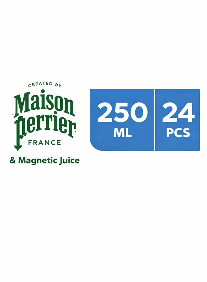 Maison Perrier عصير مايزون بيرييه المغناطيسي ليمون + جوافة 250 مل - عبوة من 24 - Image 3