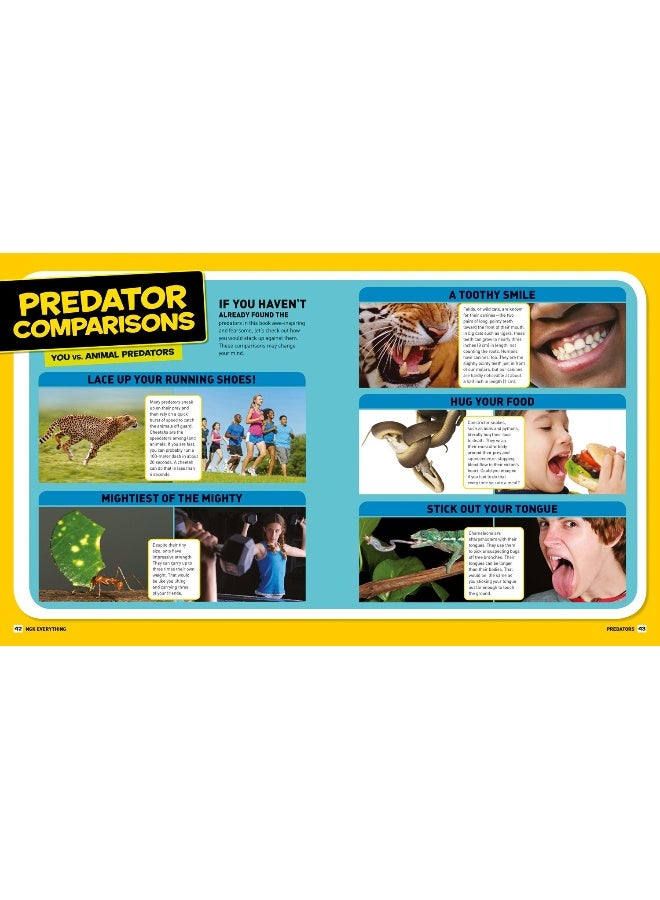Everything Predators: All the Photos, Facts, and Fun You Can Sink Your Teeth into  - Image 4