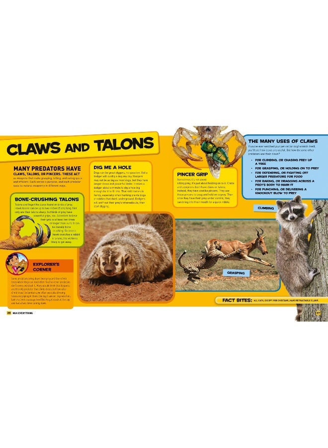 Everything Predators: All the Photos, Facts, and Fun You Can Sink Your Teeth into  - Image 3