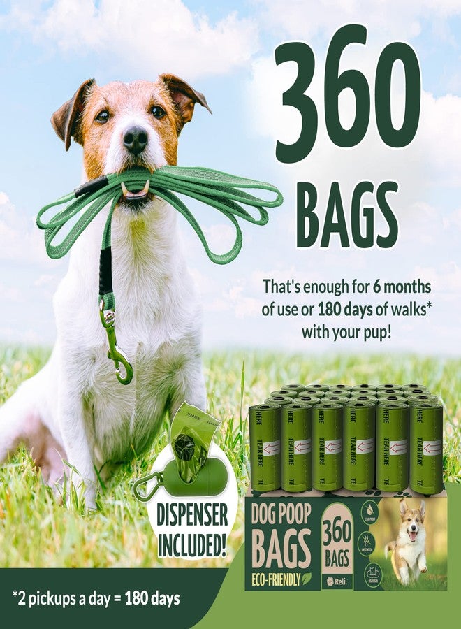 Reli. Biodegradable Dog Poop Bags w/Holder (360 Count - 24 Rolls) | 9x13" Large Dog Bags for Poop w/Dispenser | Green Eco-Friendly | Oxobiodegradable Pet Waste Disposal Refills (Unscented) - Image 2