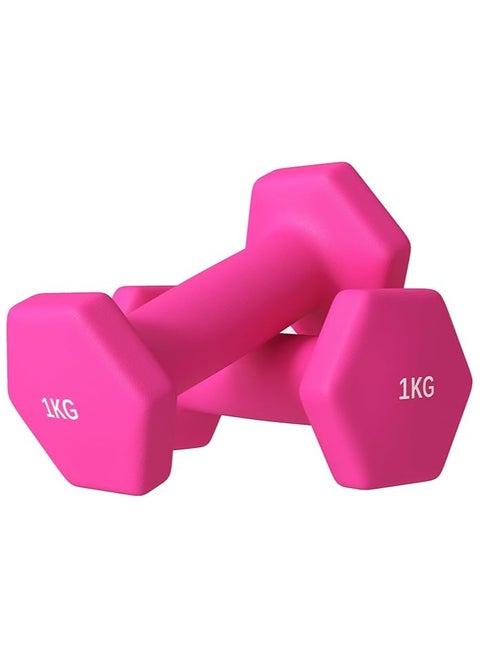 SPORTNOW Set of 2 Hexagonal Dumbbells 1/2/3/4/5/6/7/8/9/10 kg in Metal and Plastic, 2 Weights with Non-Slip Grip