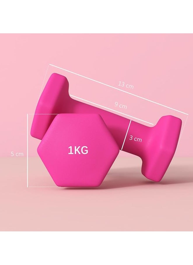 SPORTNOW Set of 2 Hexagonal Dumbbells 1/2/3/4/5/6/7/8/9/10 kg in Metal and Plastic, 2 Weights with Non-Slip Grip