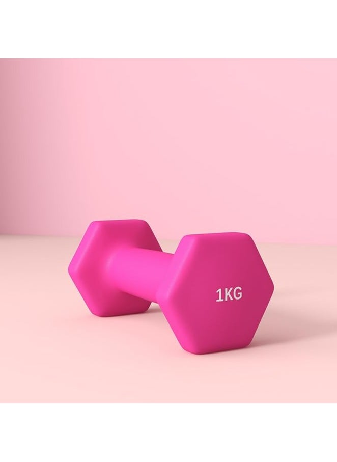 SPORTNOW Set of 2 Hexagonal Dumbbells 1/2/3/4/5/6/7/8/9/10 kg in Metal and Plastic, 2 Weights with Non-Slip Grip