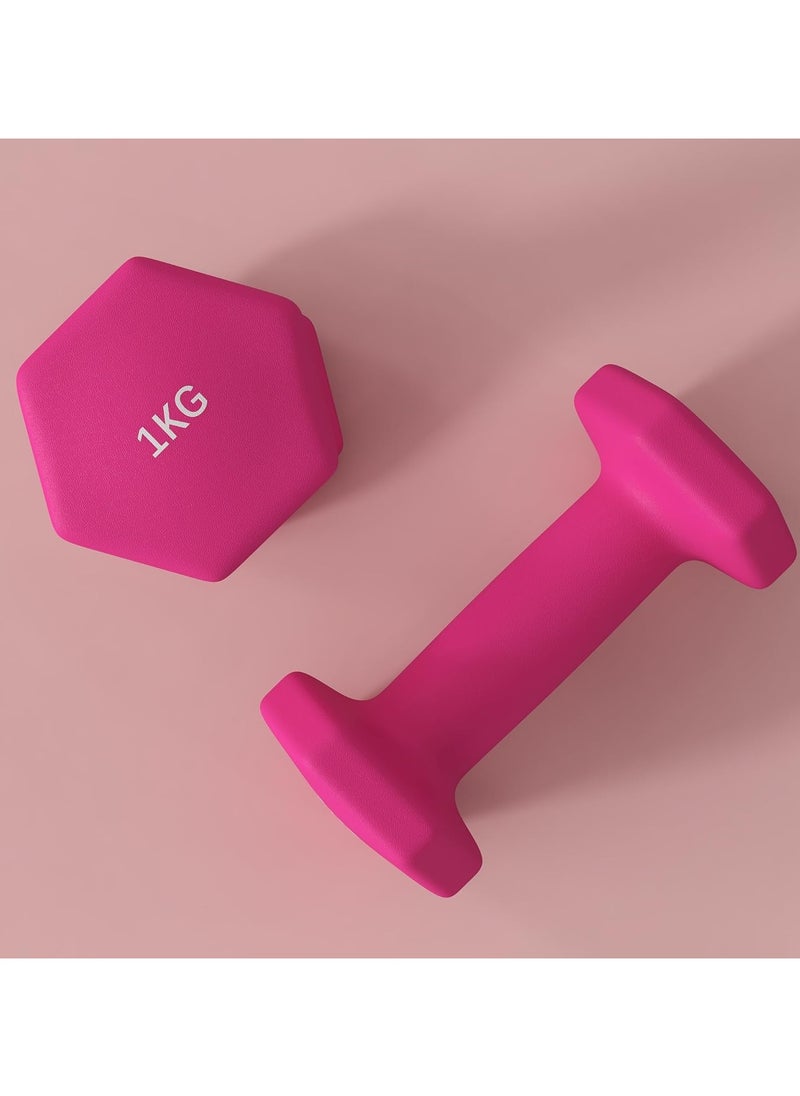 SPORTNOW Set of 2 Hexagonal Dumbbells 1/2/3/4/5/6/7/8/9/10 kg in Metal and Plastic, 2 Weights with Non-Slip Grip