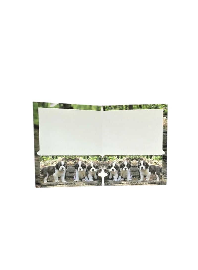 Pack of 4 Puppy & Kittens Themed Paper File 24.29*29.85 cm - Image 4