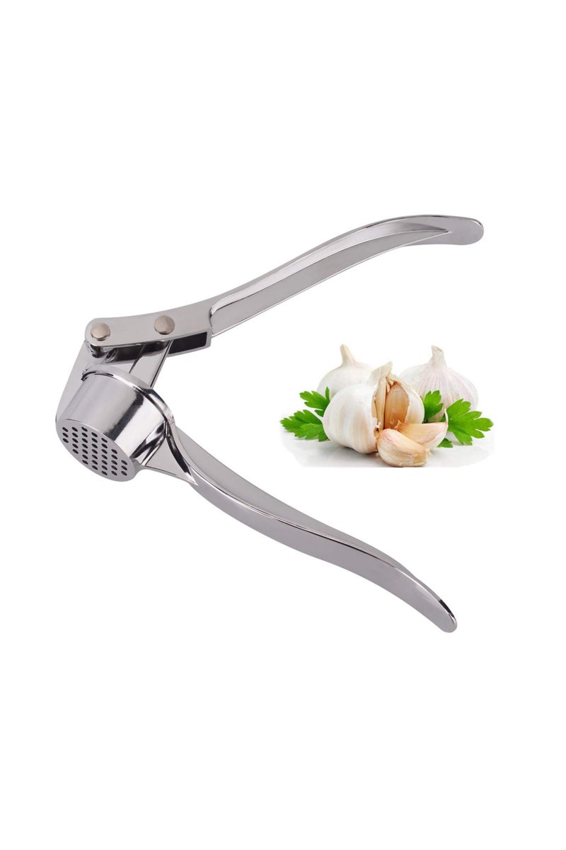 Garlic Crusher Garlic Press Garlic Mincer Ginger Chopper Professional Kitchen Stainless Steel Garlic Crusher - Image 1