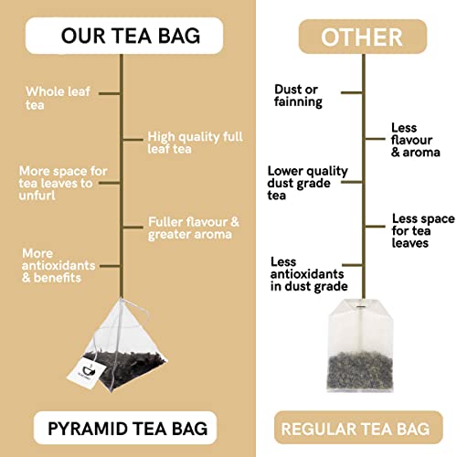 TEACURRY Nettle Leaf Tea Stinging (1 Month Pack, 30 Tea Bags) - Helps With Body Detox and Digestion -Himalayan Nettle Leaf Tea Bags, 45 Grams - Image 4