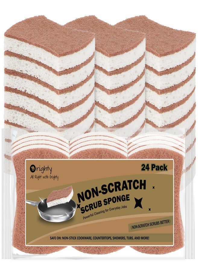 Orighty Non-Scratch Scrub Sponge, 24-Pack, Cellulose Kitchen Scrubber Sponges, Ideal for Kitchen Cleaning, Non-Stick Cookware, Washing Dishes, Bathroom, and Household - Image 1