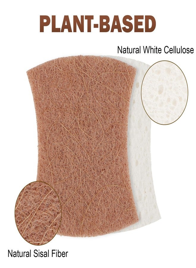 Orighty Non-Scratch Scrub Sponge, 24-Pack, Cellulose Kitchen Scrubber Sponges, Ideal for Kitchen Cleaning, Non-Stick Cookware, Washing Dishes, Bathroom, and Household - Image 2