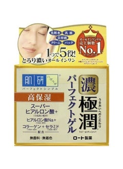 Rohto Gokujun Perfect Gel, 100g