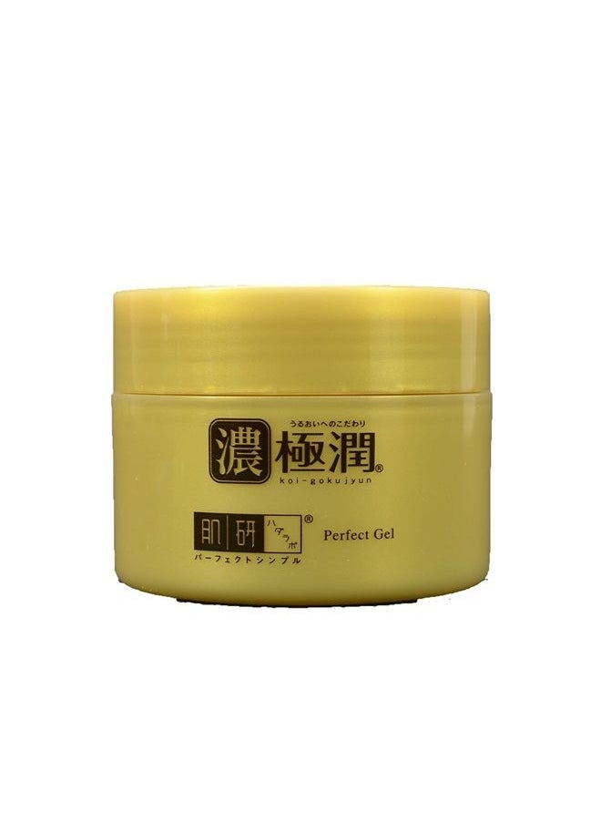 Hada Labo - Rohto Gokujun Perfect Gel, 100g - Image 1