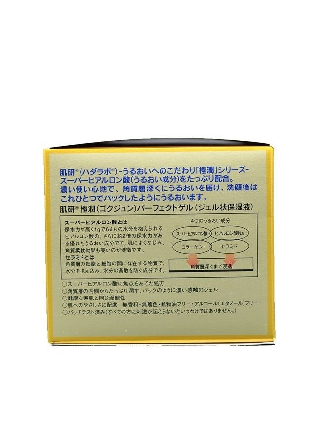 Hada Labo - Rohto Gokujun Perfect Gel, 100g - Image 1