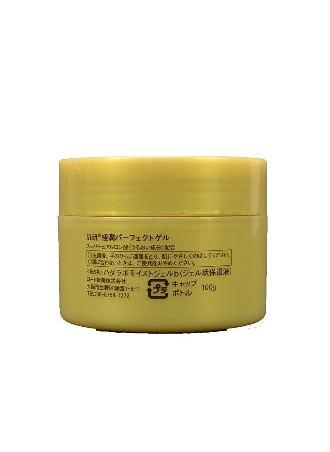 Hada Labo - Rohto Gokujun Perfect Gel, 100g - Image 1