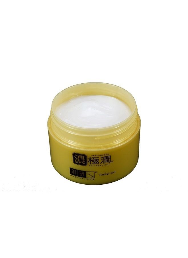 Hada Labo - Rohto Gokujun Perfect Gel, 100g - Image 1