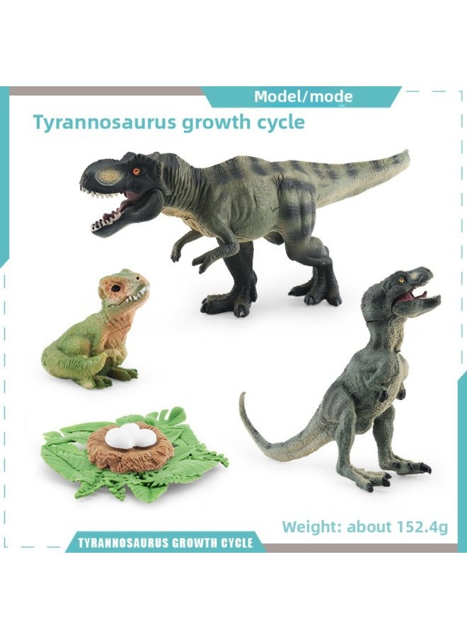 Generic - Jurassic Simulation Solid Suit Tyrannosaurus Raptors Tyrannosaurus Dinosaur Model Toys-Color:12 Types Of Dinosaur Bones 102g - Image 1
