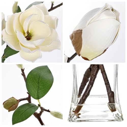 Briful Artificial Magnolia Flower Arrangement with Glass Vase, 18.5in White Faux Magnolia Flowers Fake Floral Centerpiece for Eleglant Home Office Room Table Shelf Décor - Image 3