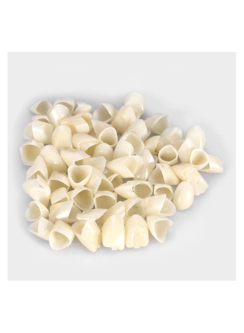Resin Denture False Teeth 50Pcs Teeth Crown Resin Denture For Patients With Oral Cavity Loss 2 Types Temporary Resistible Crown of Teeth with Different Sizes Oral Care Anterior Crown Front Teeth - Image 5