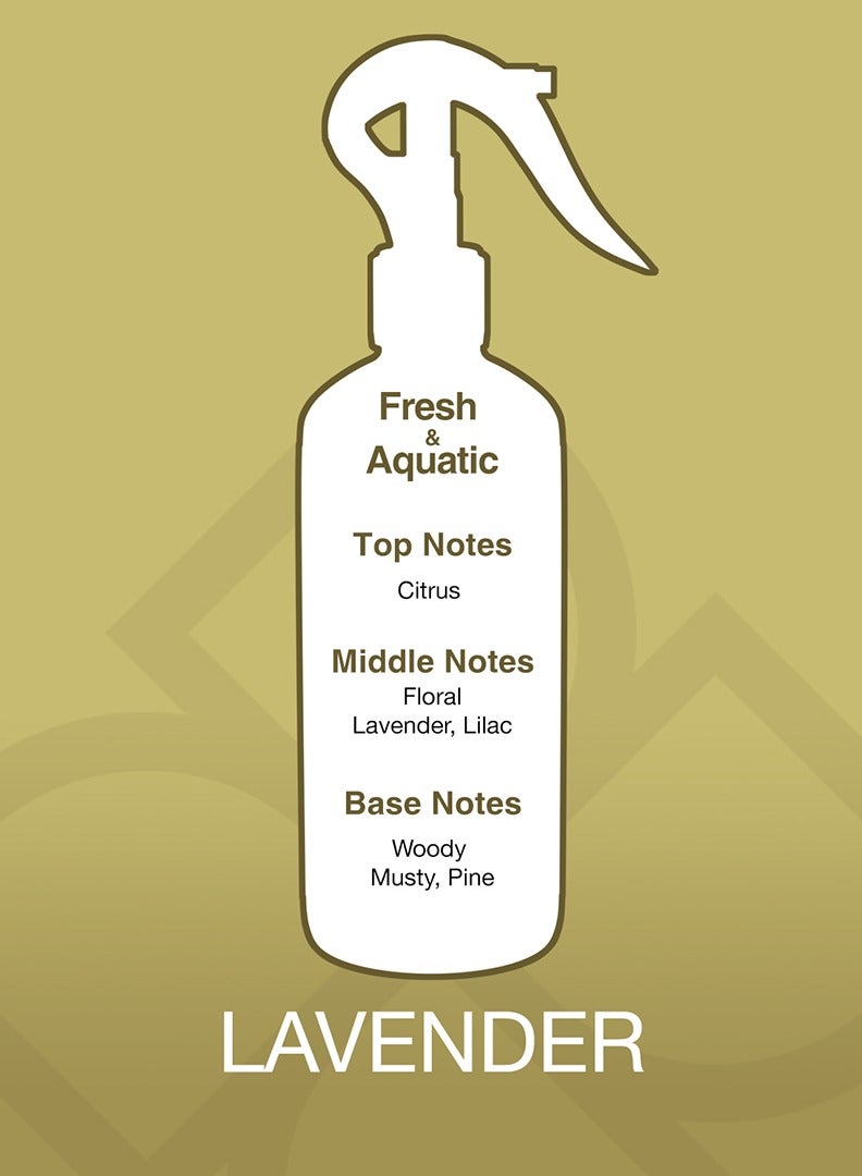 Essancy Aroma Mist Lavender Premium Air Freshener Clear 300ml - Image 2