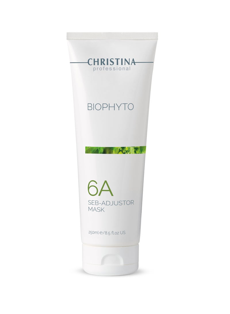 Christina بيوفيتو - الخطوة 6A | قناع سيب-أدجاستور 250 مل - Image 1