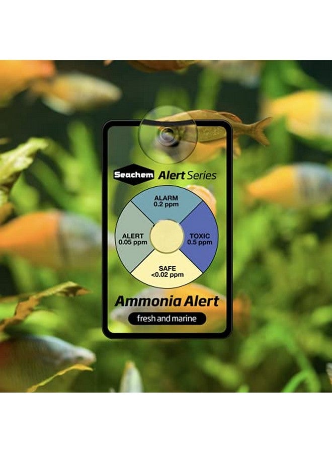 Seachem 28658 Alert Combo Pack white 6 x 3 x 4 inches - Image 2