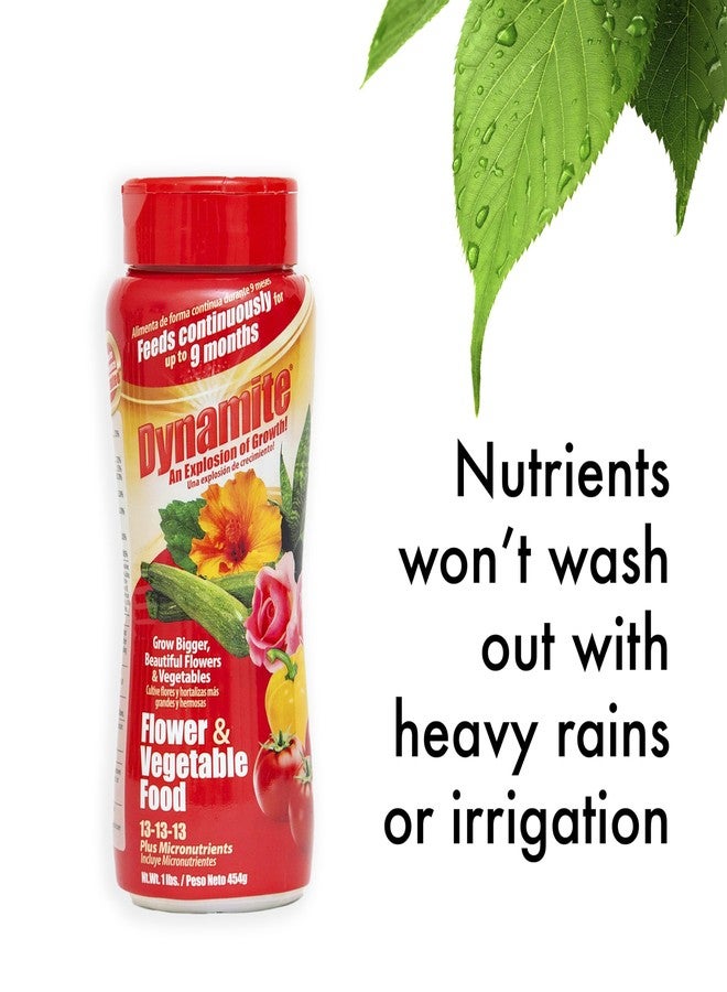 ديناميت سماد نباتي كامل للزهور والخضراوات 1 رطل - Image 2