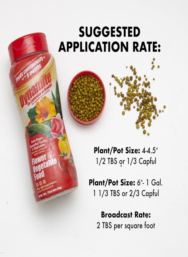 ديناميت سماد نباتي كامل للزهور والخضراوات 1 رطل - Image 3