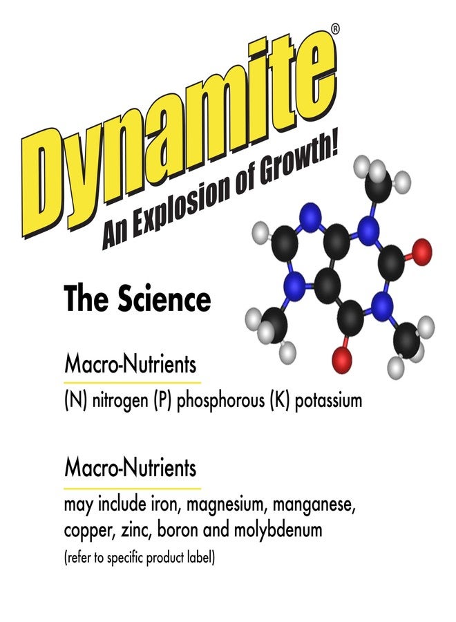 ديناميت سماد نباتي كامل للزهور والخضراوات 1 رطل - Image 5