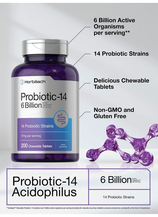 Horbaach Horbäach Probiotics 6 Billion CFUs | 200 Chewable Tablets | 14 Probiotic Strains | Vegetarian, Non-GMO & Gluten Free Supplement for Men & Women  - Image 3