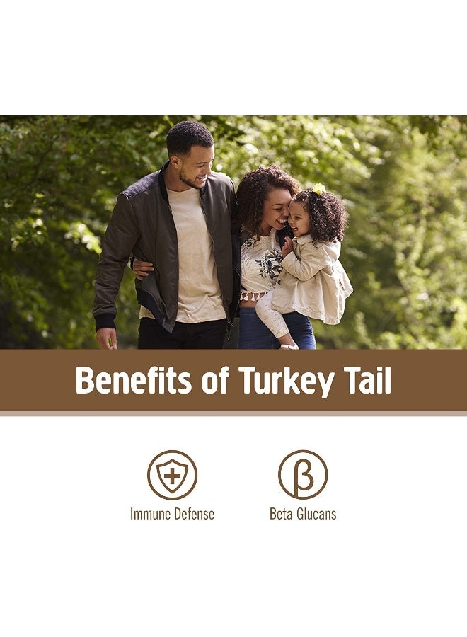 Om Mushroom Superfood Turkey Tail Mushroom Superfood 90VCAPS - Image 3