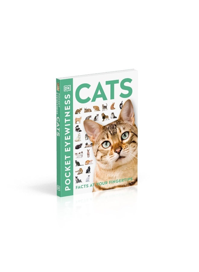 Cats: Facts at Your Fingertips - Image 3