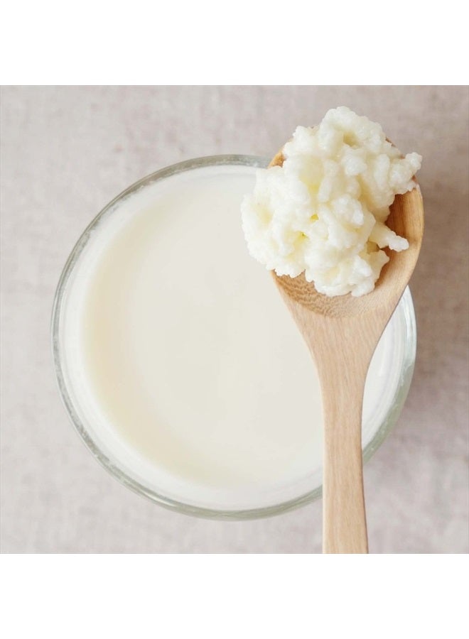 CULTURES FOR HEALTH حبوب كفير الحليب من كالتشرز فور هيلث | مشروب بروبيوتيك غير معدل وراثيًا لزيادة صحة الأمعاء | طراز وراثي غير محدود | سهل النكهة أو الإضافة إلى الوصفات | بلغاروس دي ليش - Image 4